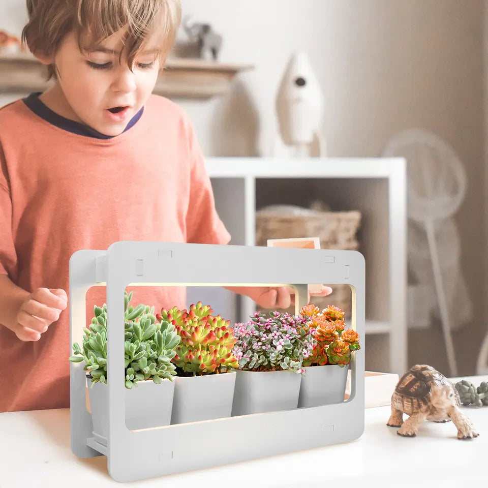 Mini Smart Garden