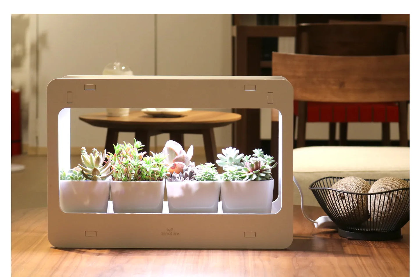 Mini Smart Garden
